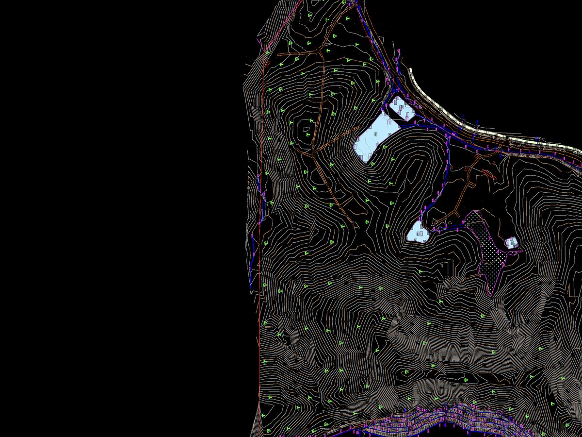 Topographical survey plan (extract)